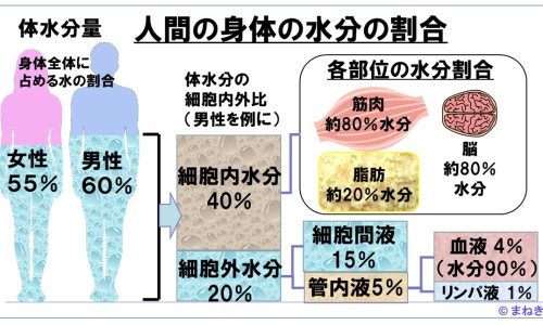 资生堂美白液口服价格-权威资生堂美白丸效果好吗知乎平台,分享专业资生堂美白丸效果好吗知乎知识_资生堂美白丸效果好吗网